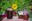 Marmeladen_Hintergrund